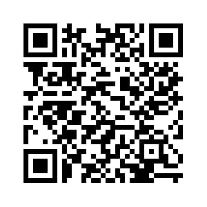 GPay QR Code